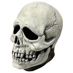 Don Post - Skull Mask