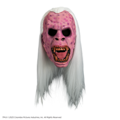 Ghostbusters - Library Ghost Mask (Vinyl)