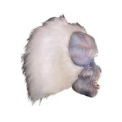 Zagone Studios Classic Collection - Visitor From Space Mask