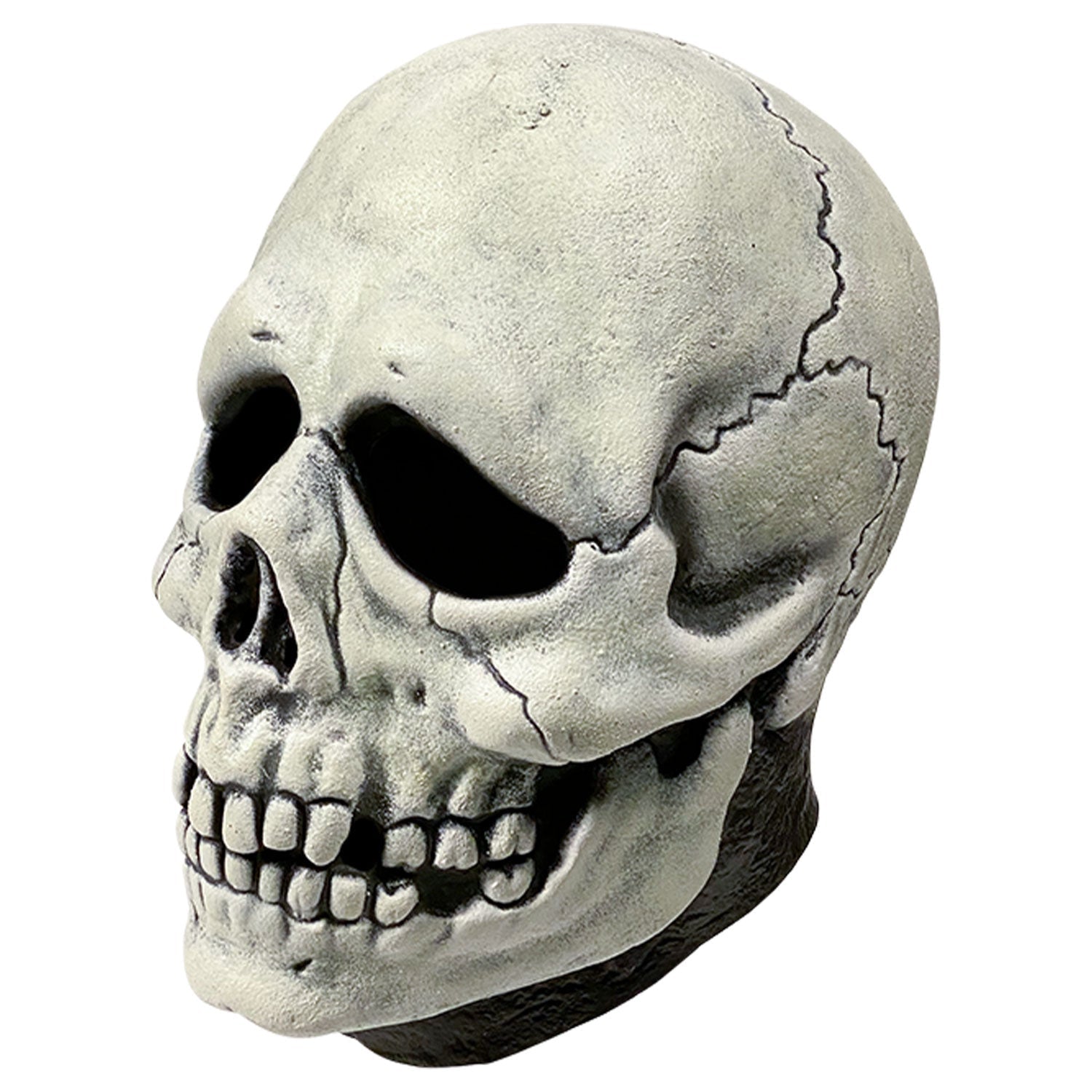 Don Post - Skull Mask