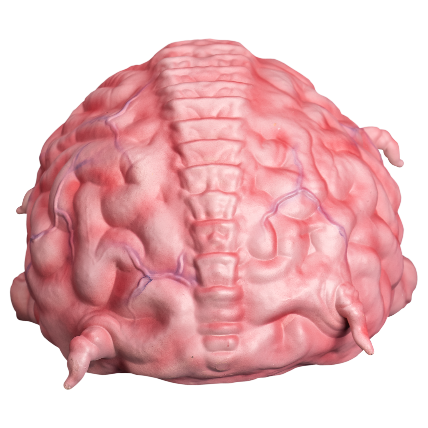 *PRE-ORDER* Teenage Mutant Ninja Turtles -  Krang Prop