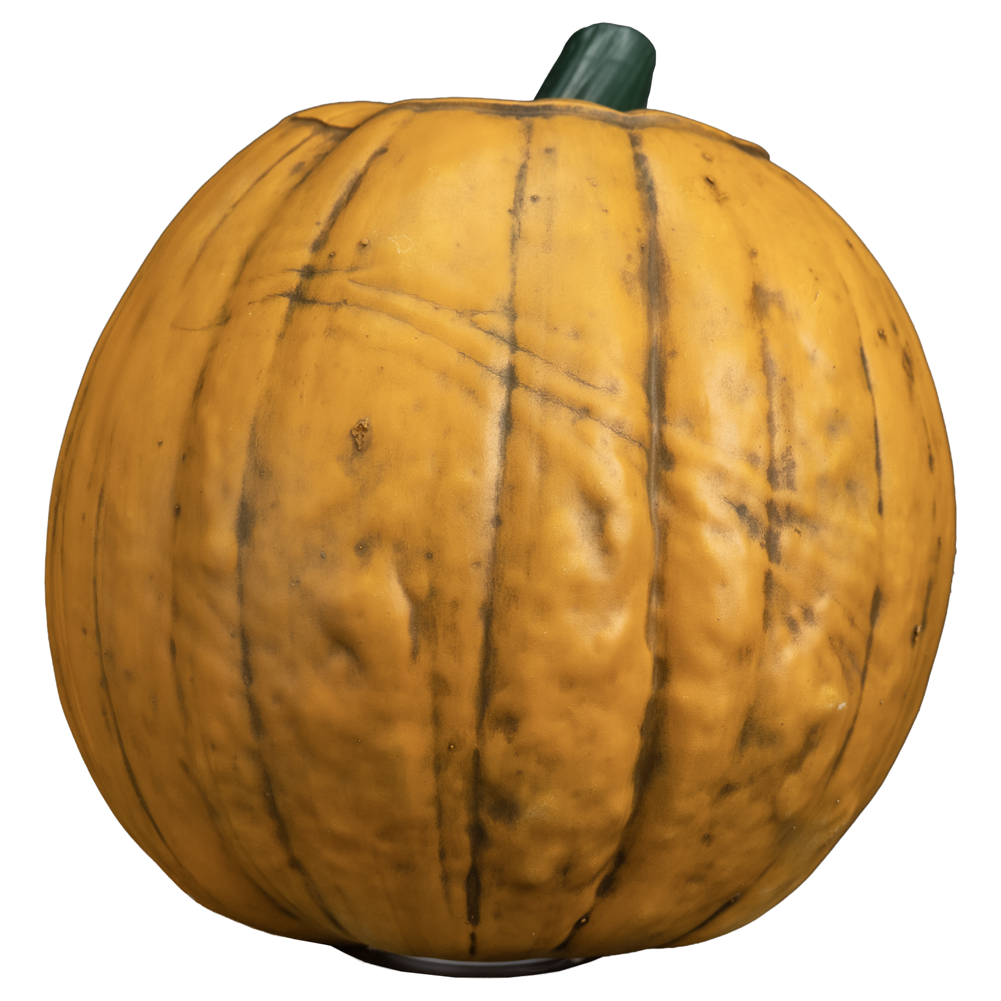 Sleepy Hollow - Light up Pumpkin Prop