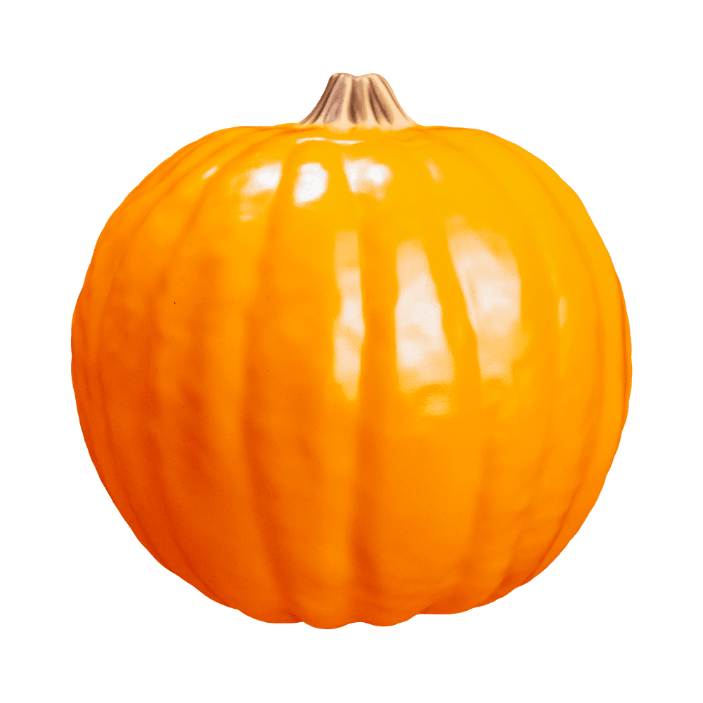 Trick R' Treat - Light Up Pumpkin
